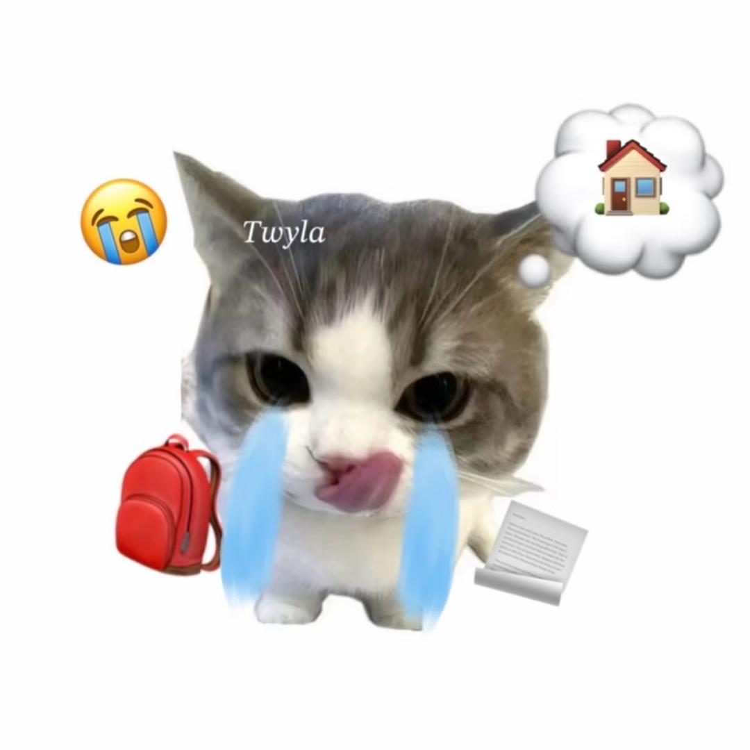 等一个六月解放