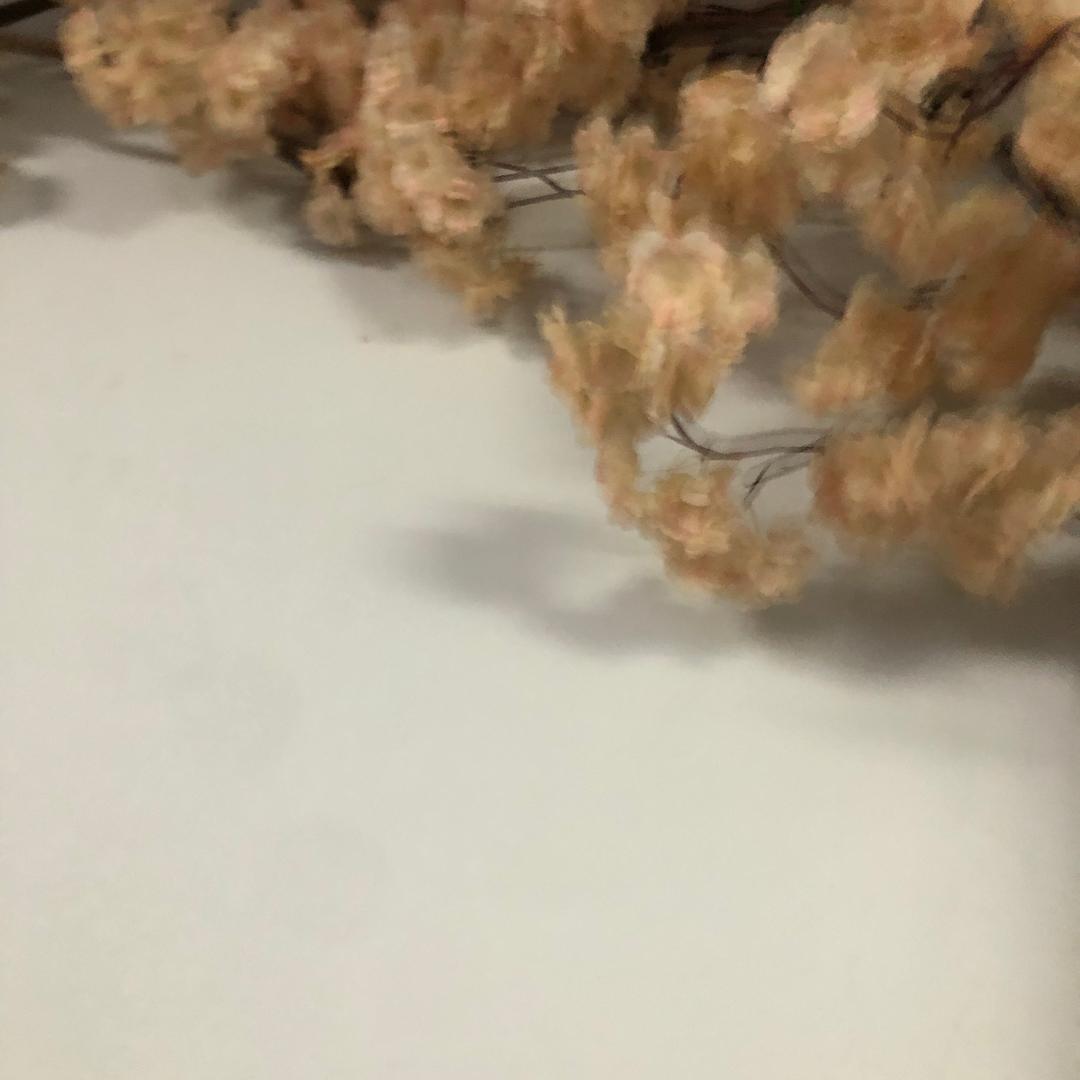 JoJo蓉