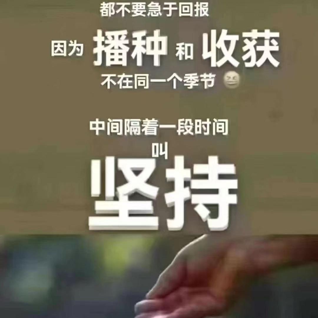 酷酷的小武
