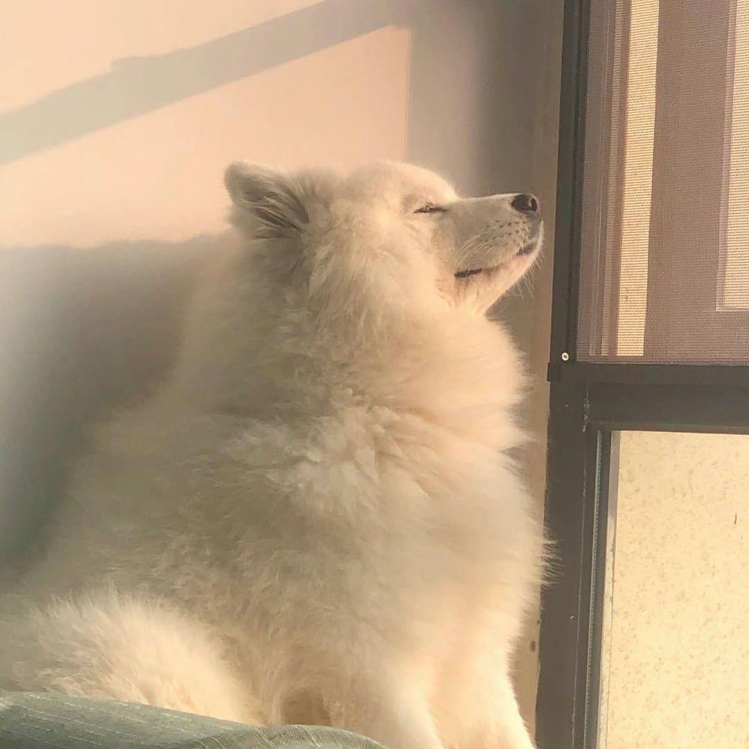 兔崽子ꪔ̤̮
