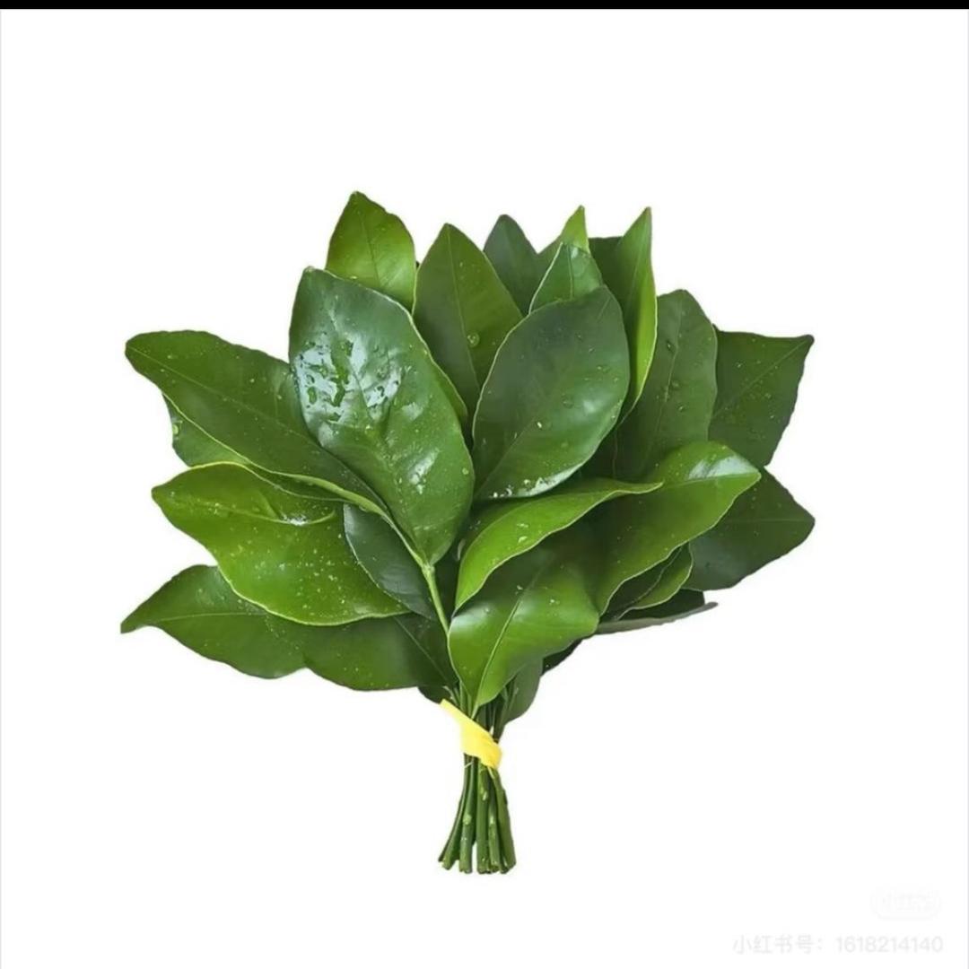 、念顺利