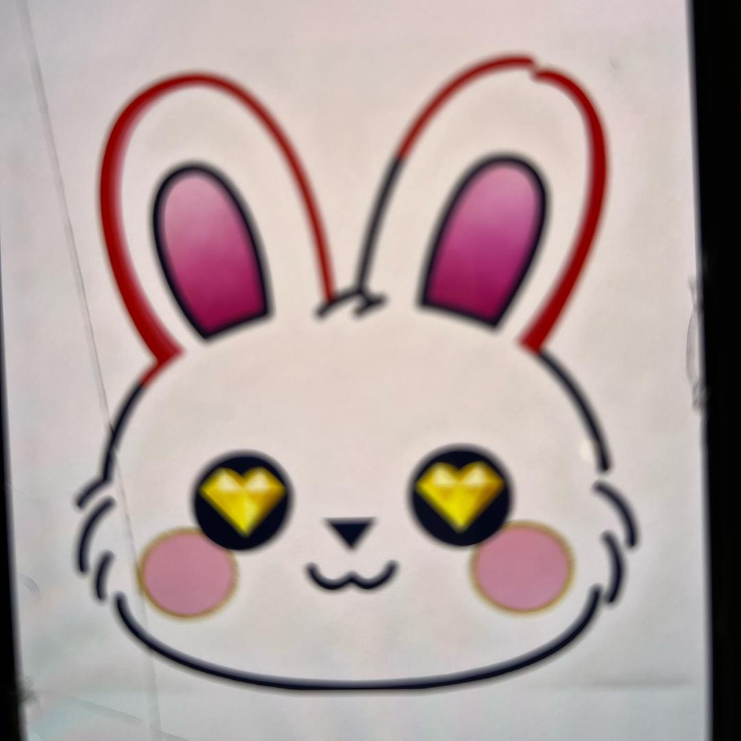 小兔兔精选女装(外贸）