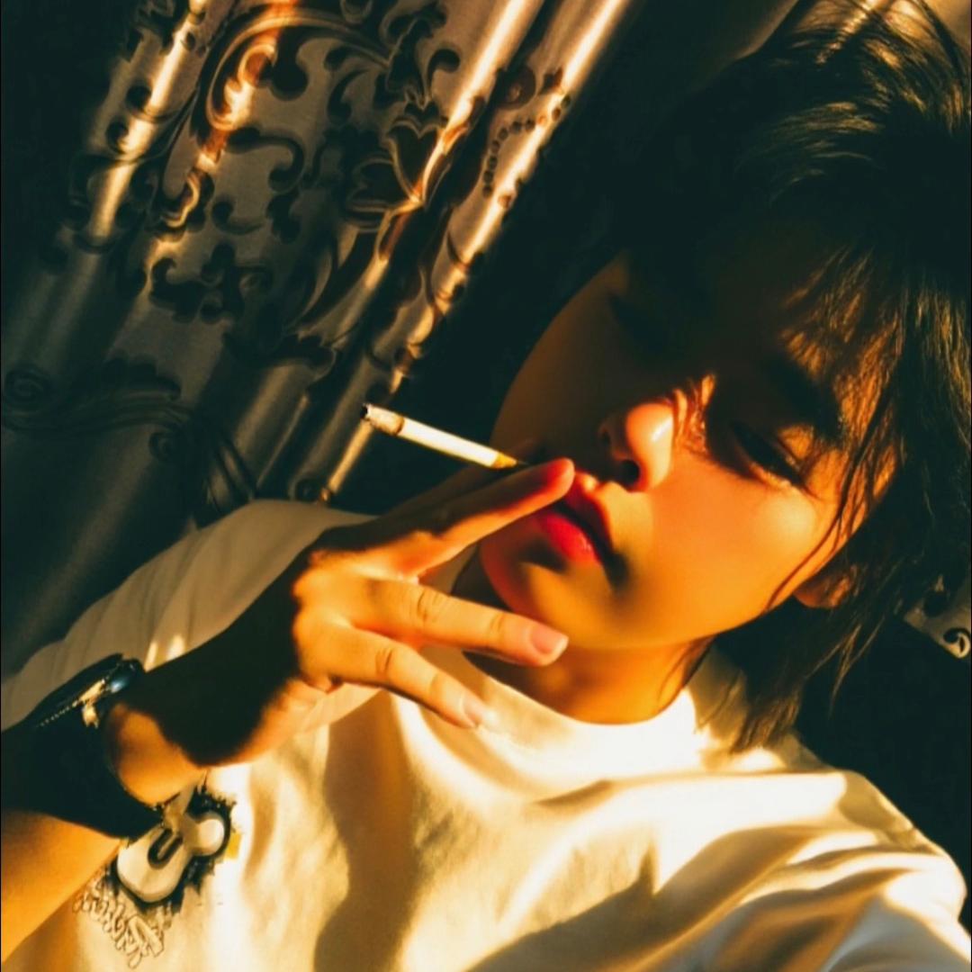 土豆我是马铃薯🥔