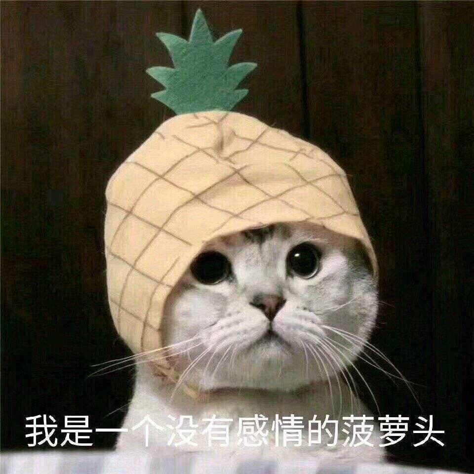 一只与世无争的鸡