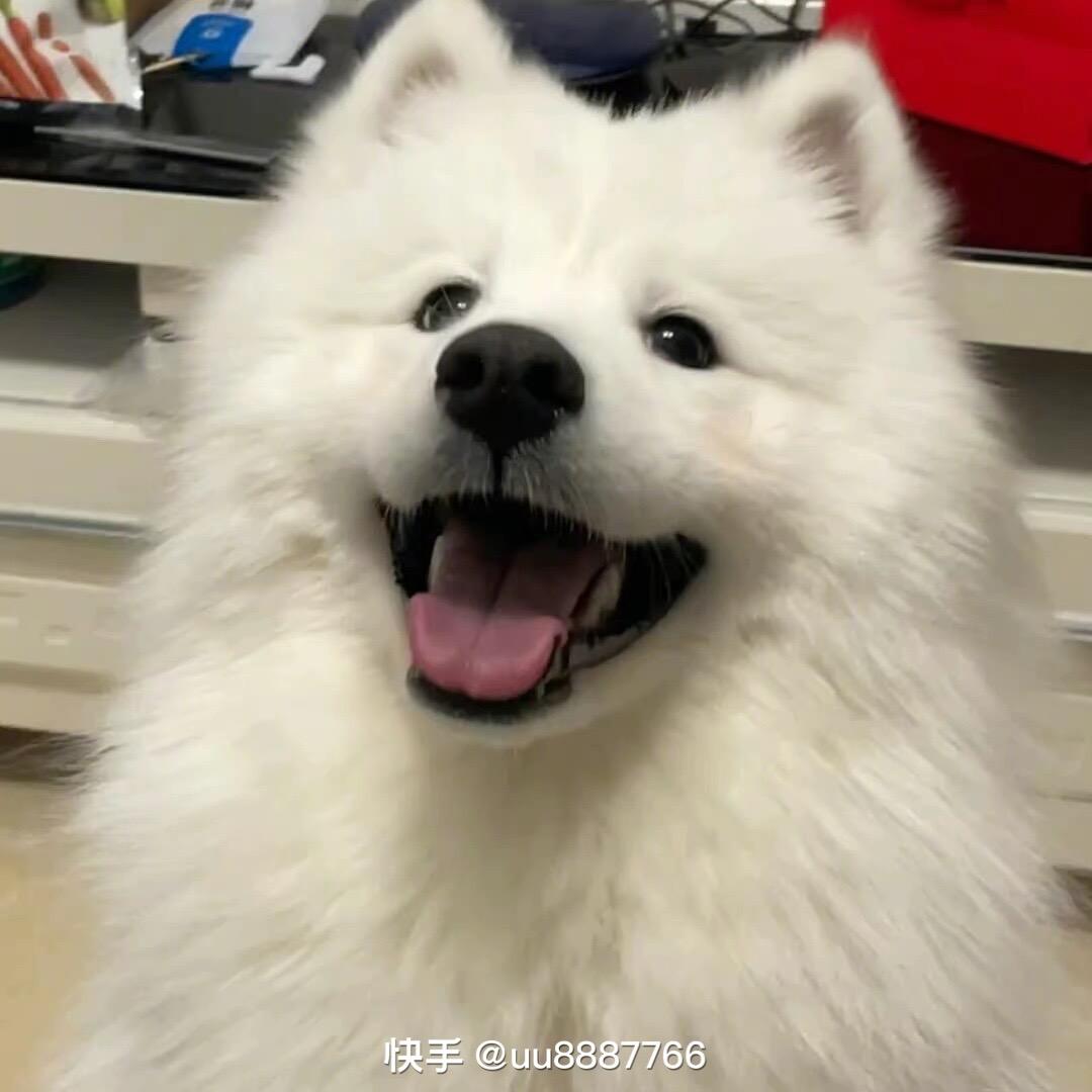那就晚安l.