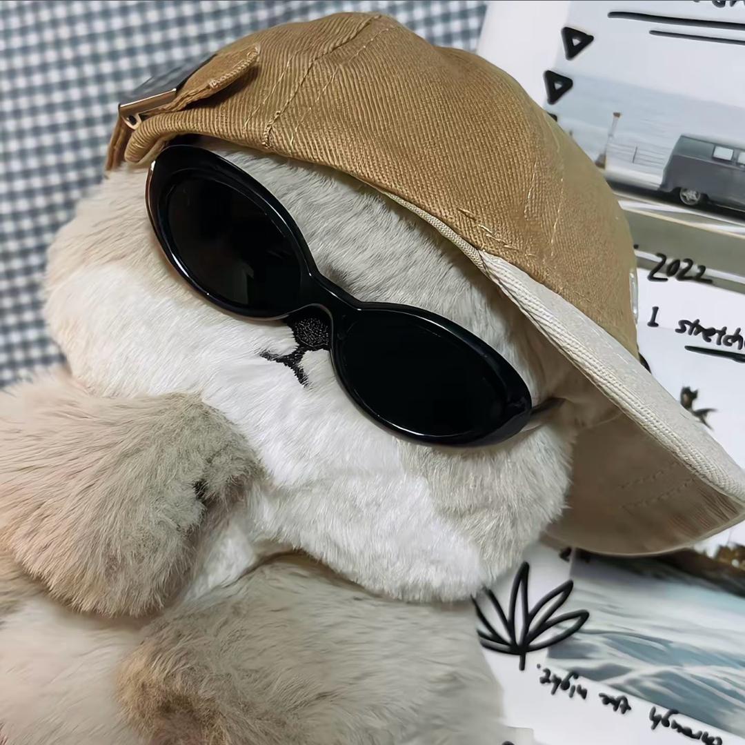 小猫的思念