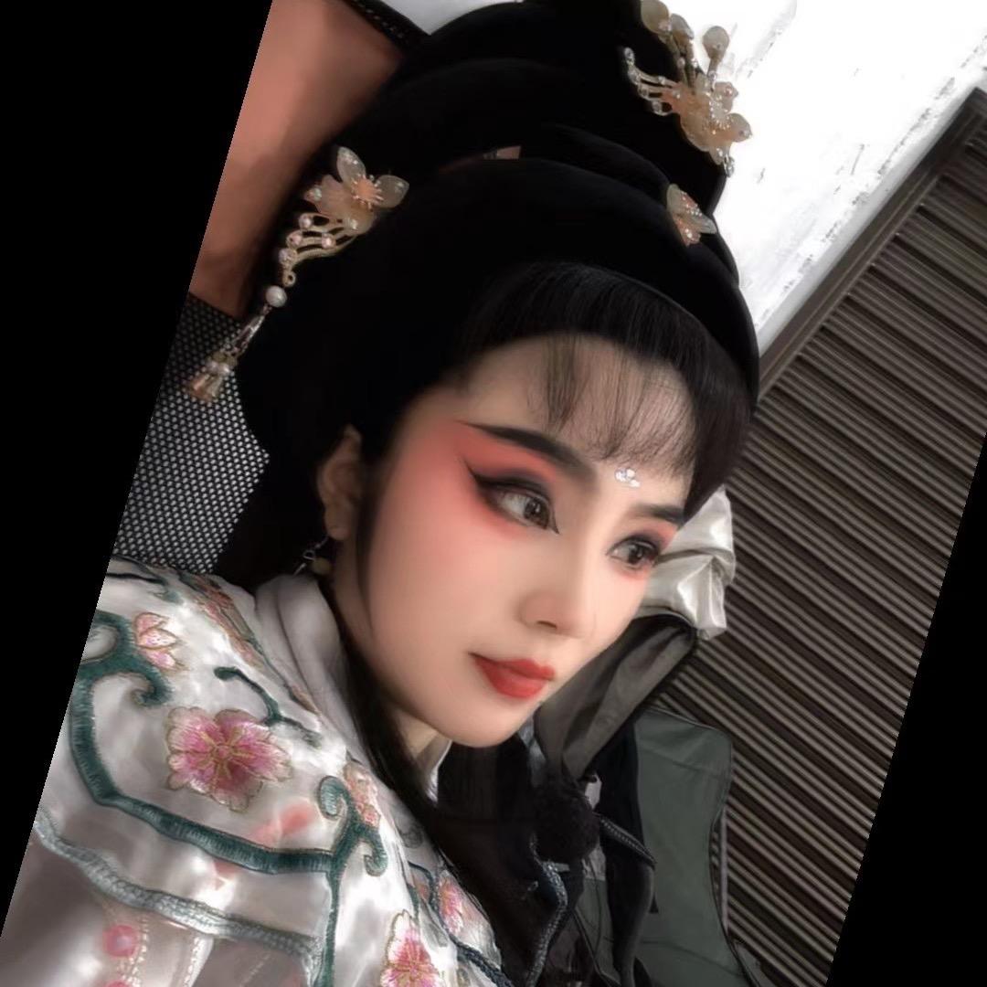 花鼓戏罗婷⁵²ºº