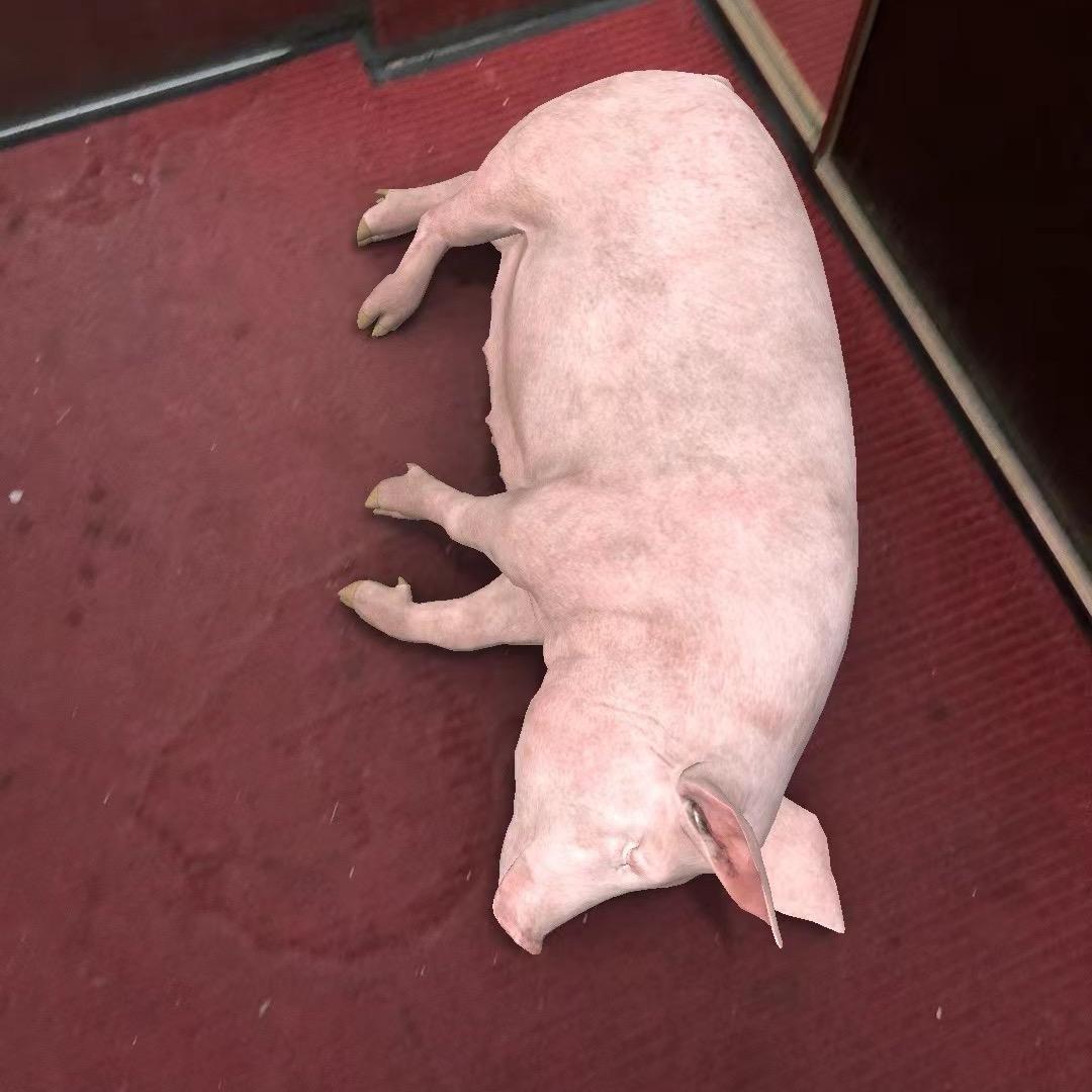 胡椒