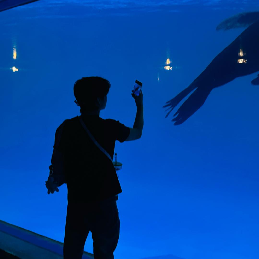 浓的