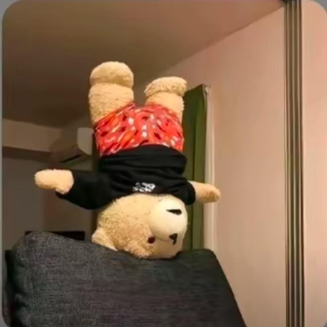 贪