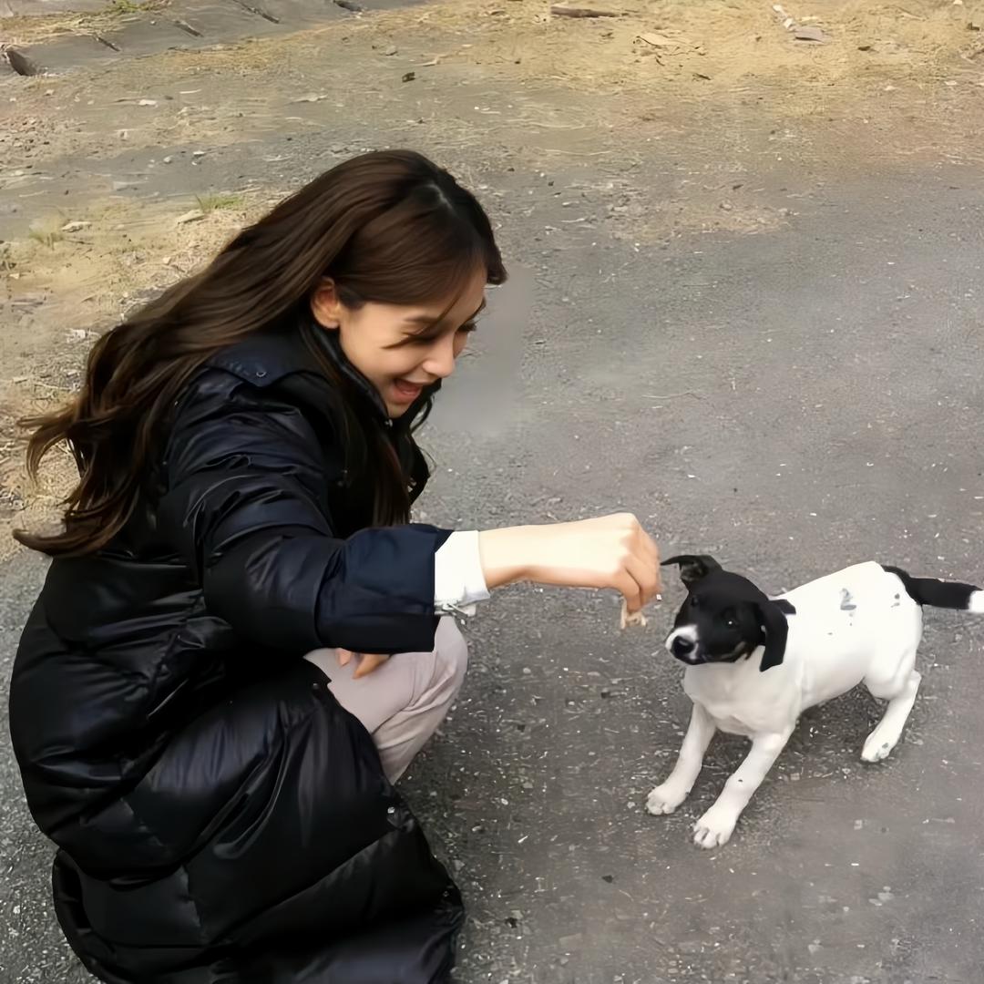 霹雳无敌帅薯条大王^