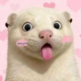 小美骗你百万｀