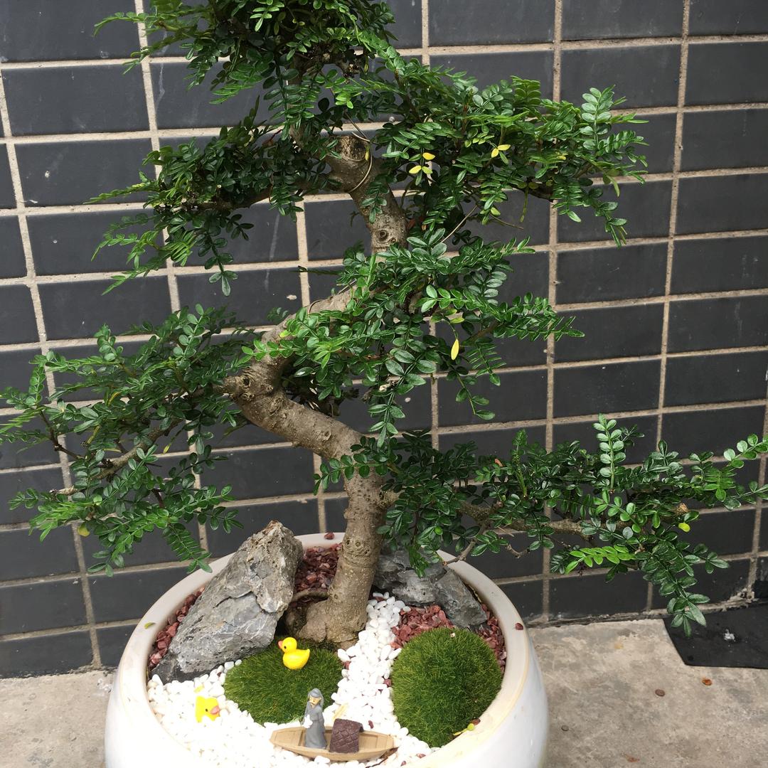 棉酷
