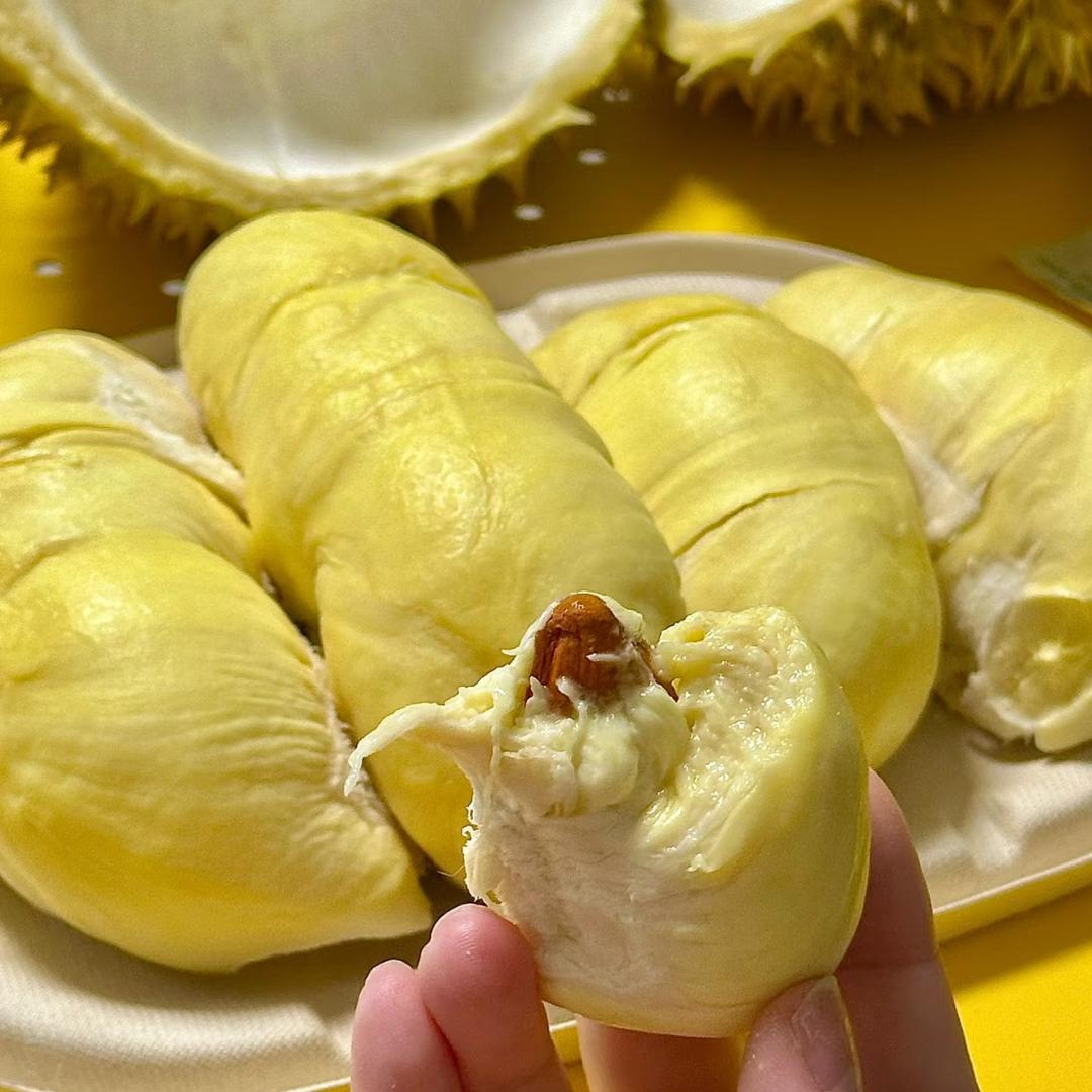 肥狗小糖车厘子榴莲