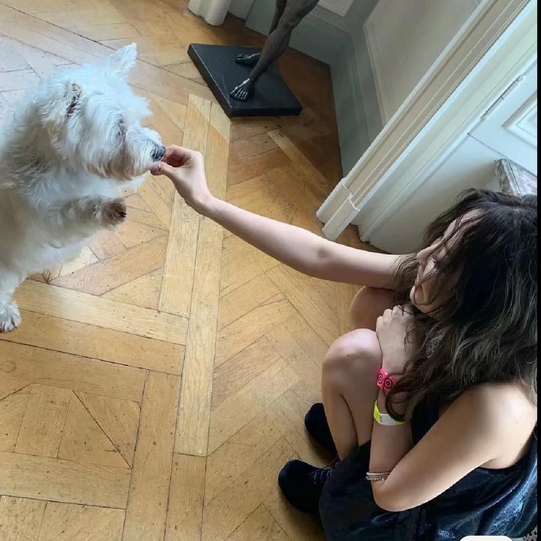 好久没吃西兰花