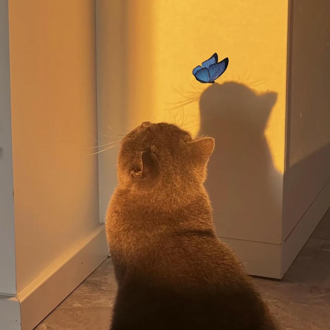 𝙍𝙖𝙮𝙖𝙣_♡