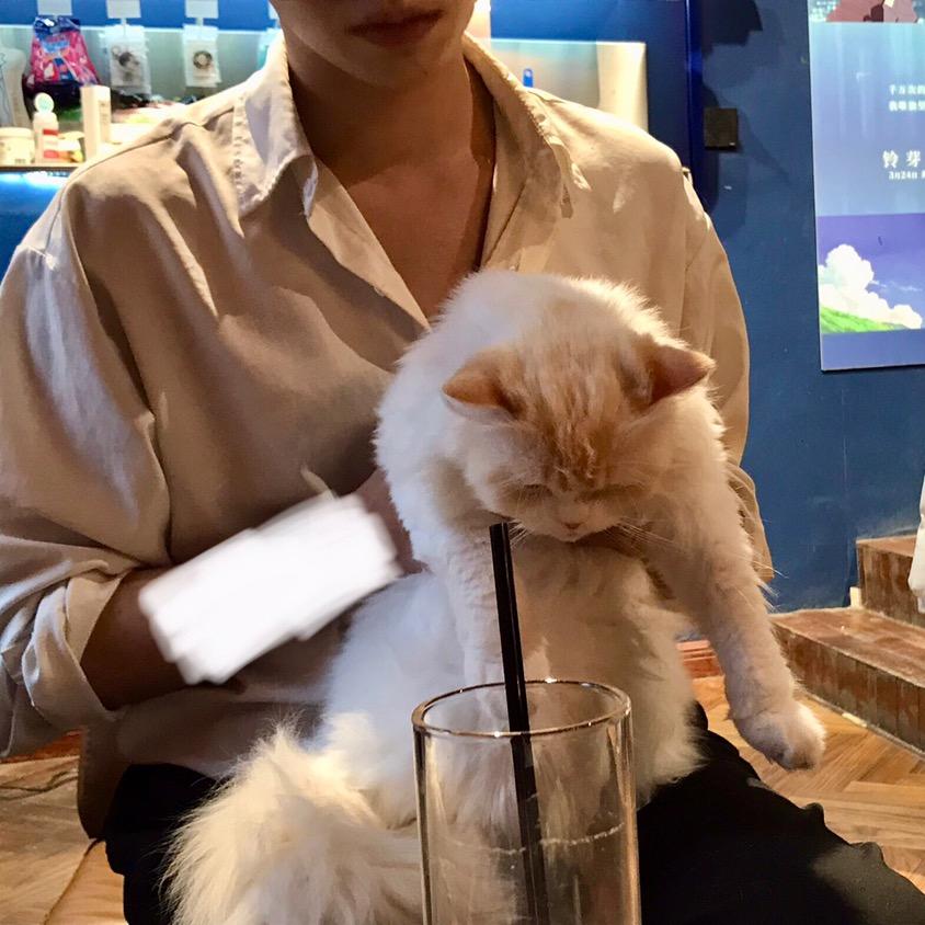 知礼头像