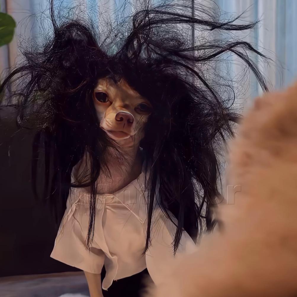 焦焦焦焦焦焦🎶