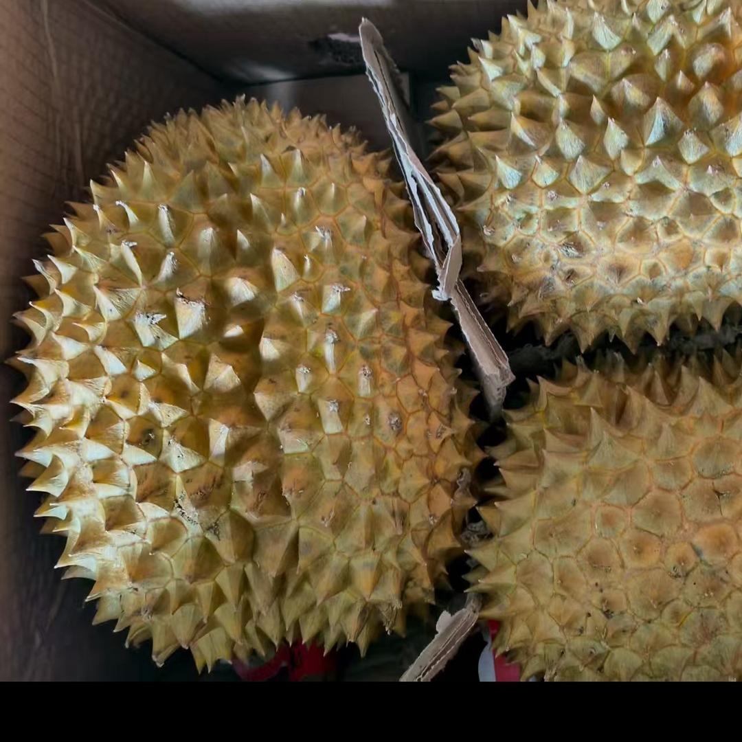 高青榴恋时光水果超市（个体工商户）