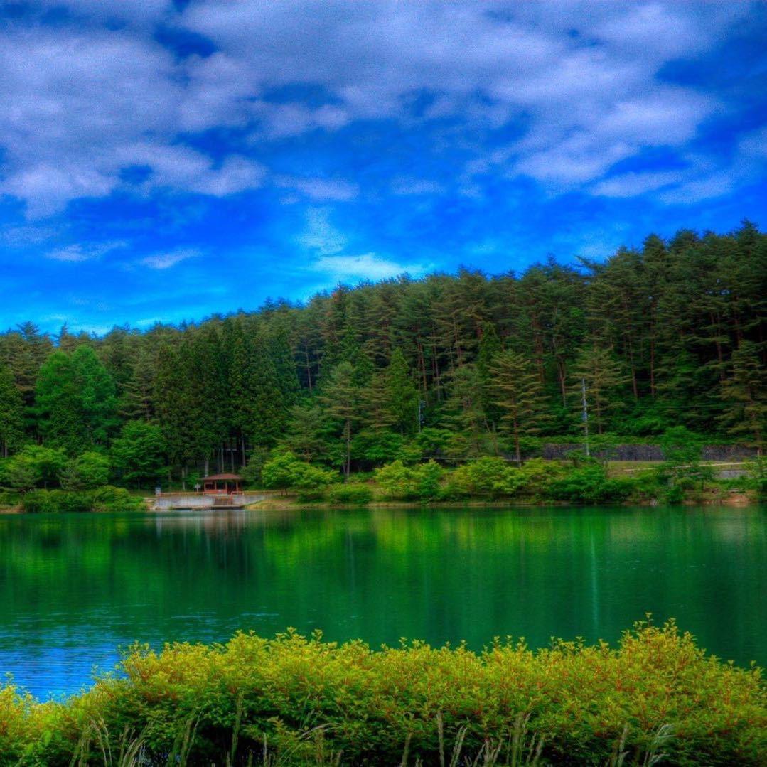 洋程新楼盘代理