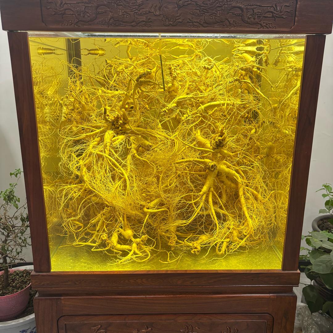 长白山华夏滋补养生院