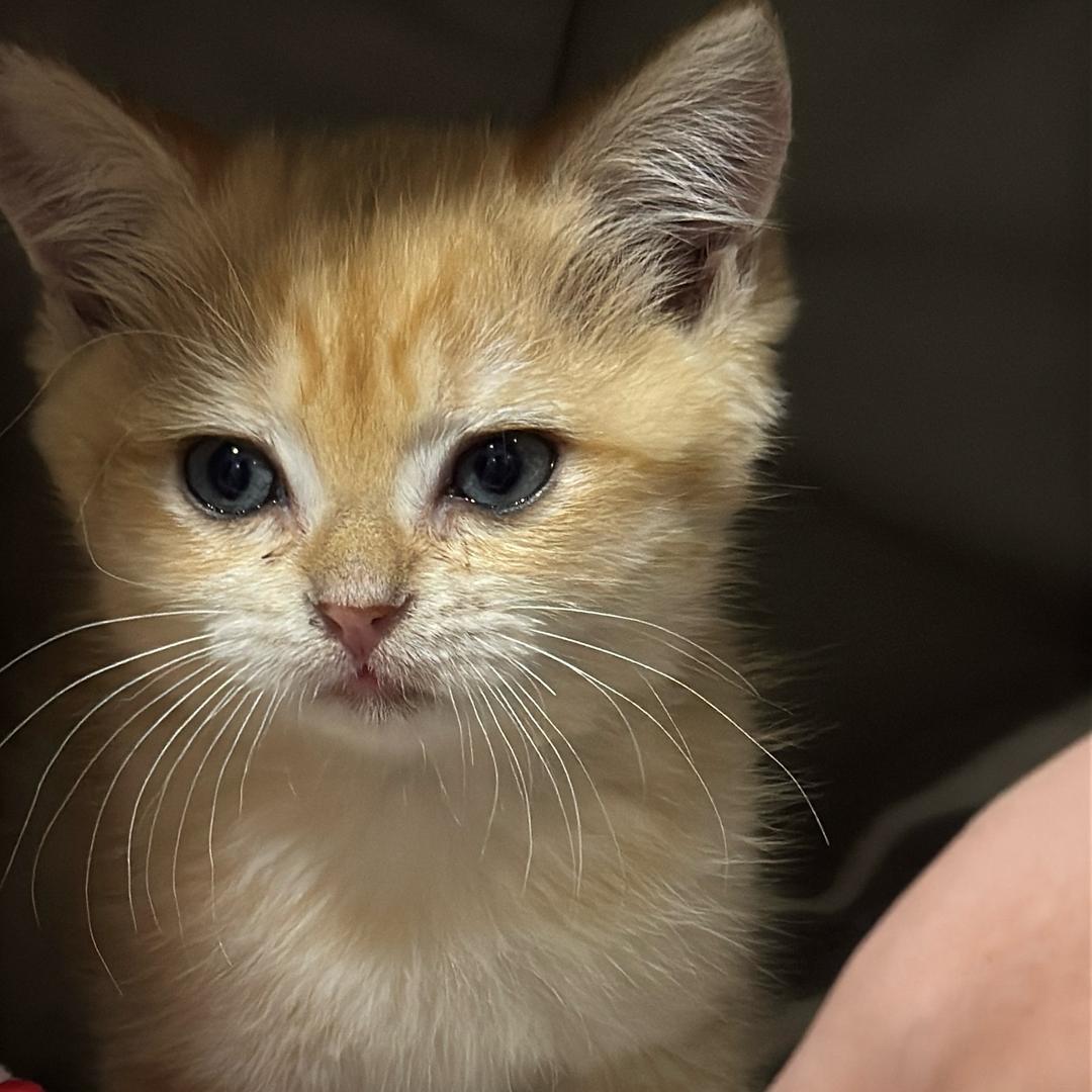 小哭包雯雯🌈🌈🌈🌈