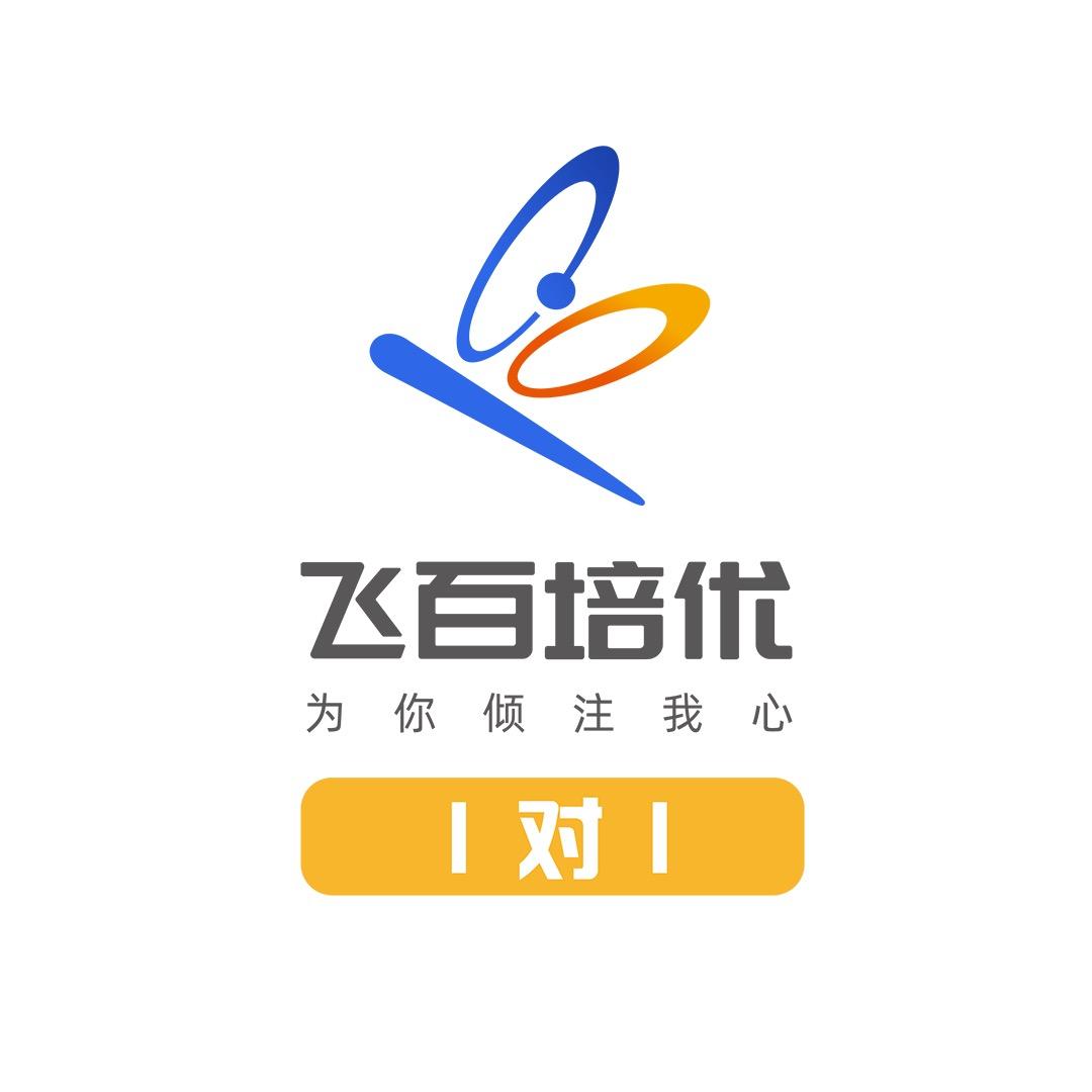飞百全国一对一