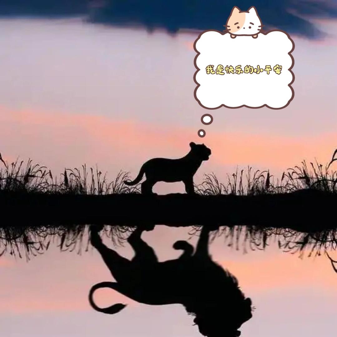 卖保险的小平安