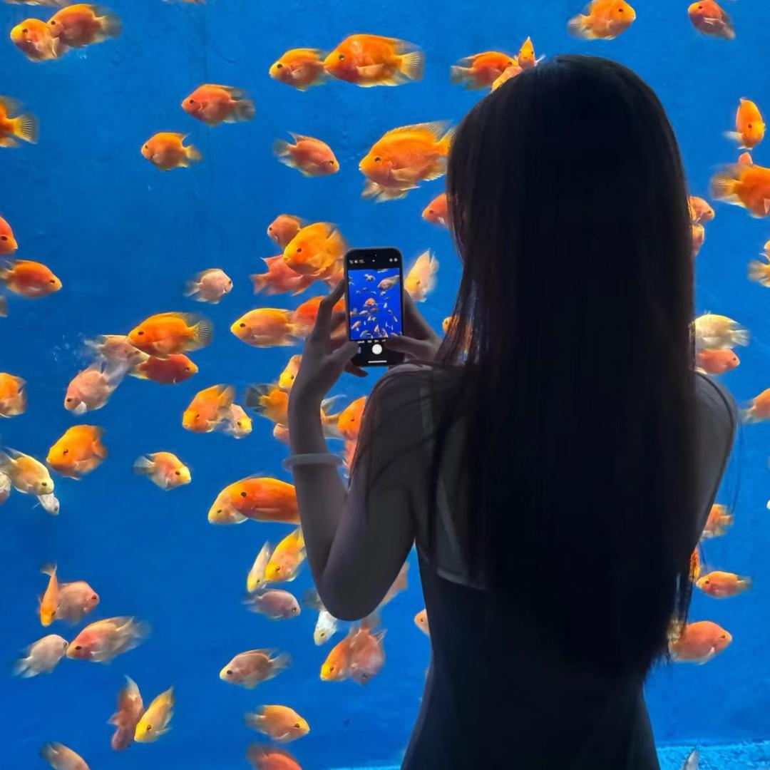 UU爱吃鱼🐠🐟