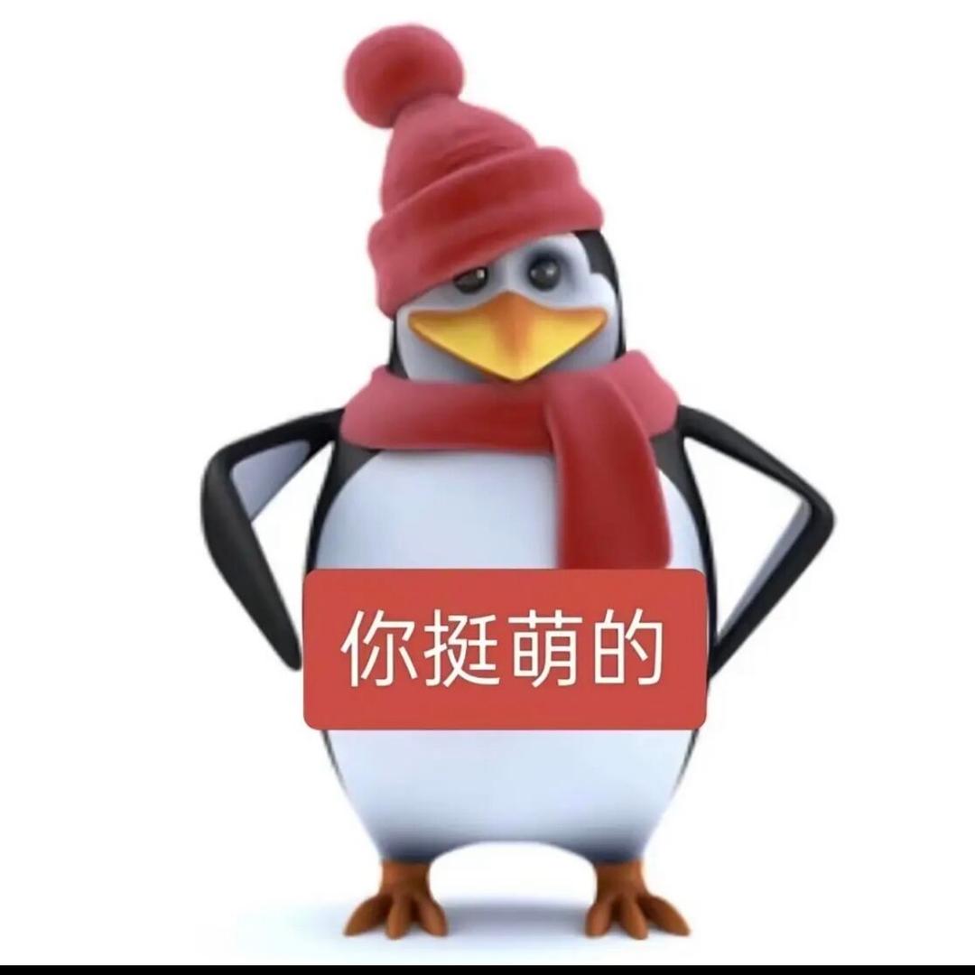 你看不懂我的名字