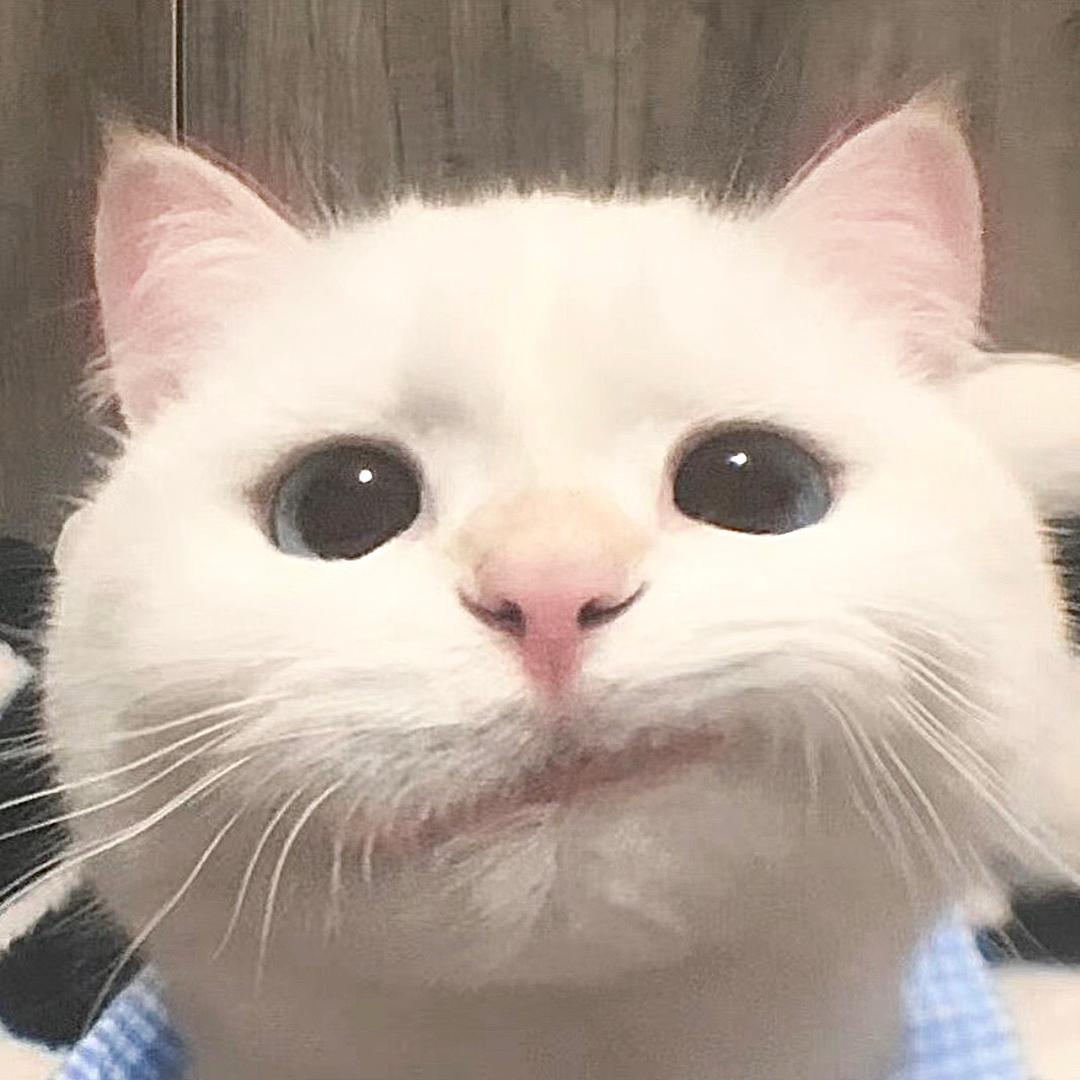⠀