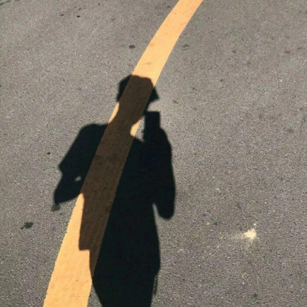 1只小狗