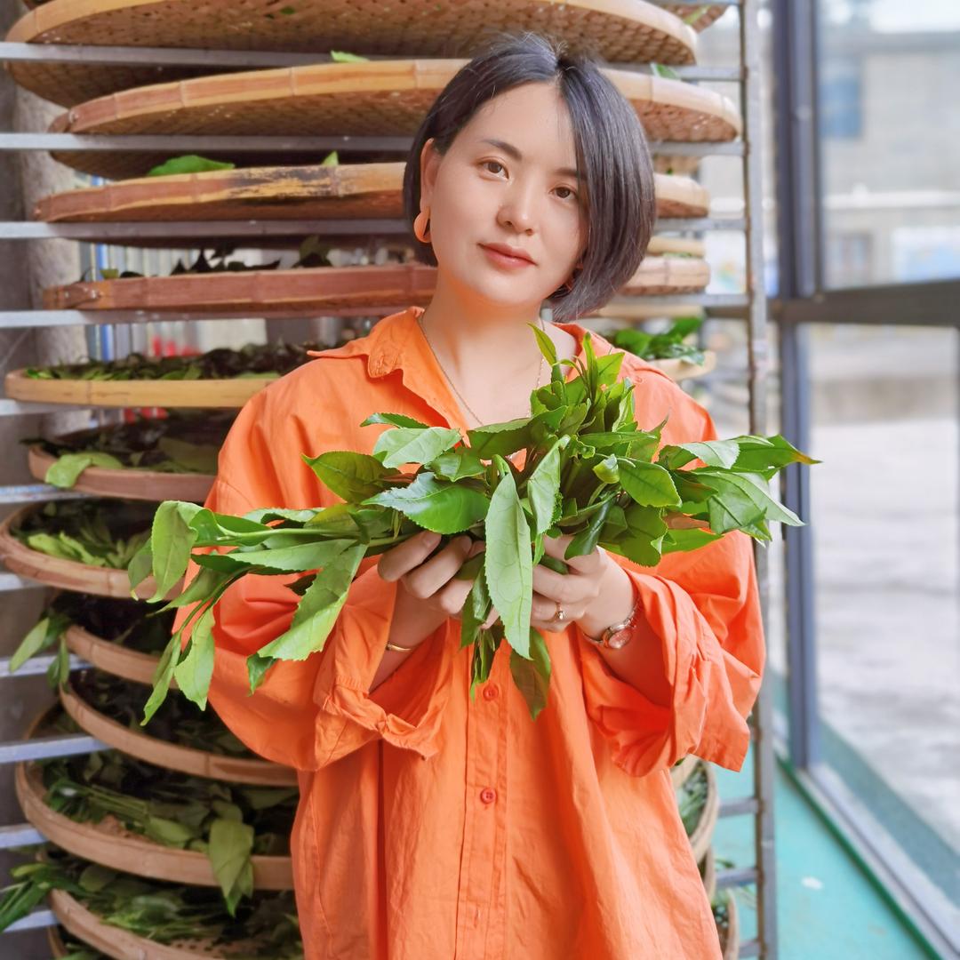 政和白茶-周周品茗茶叶