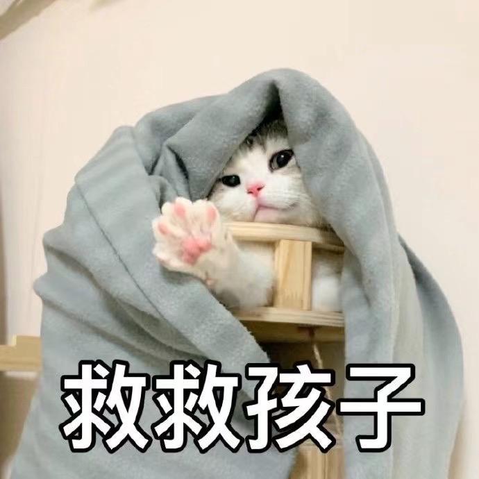 斑马🦓