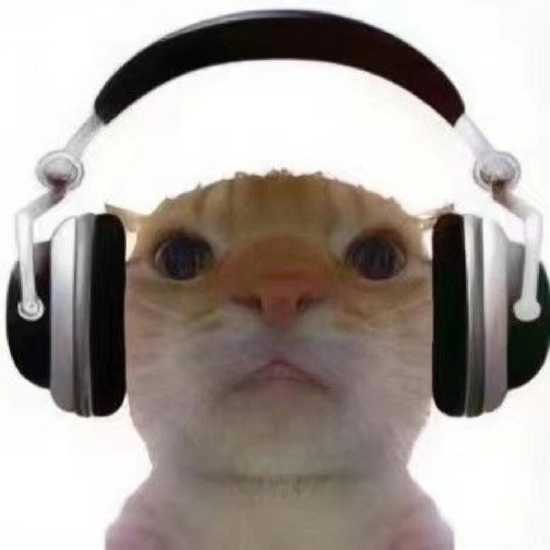靠谱小猫