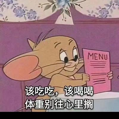 我看了五十六次日落