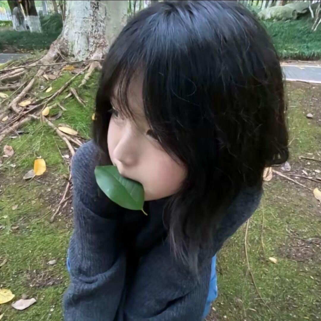 呆毛呆