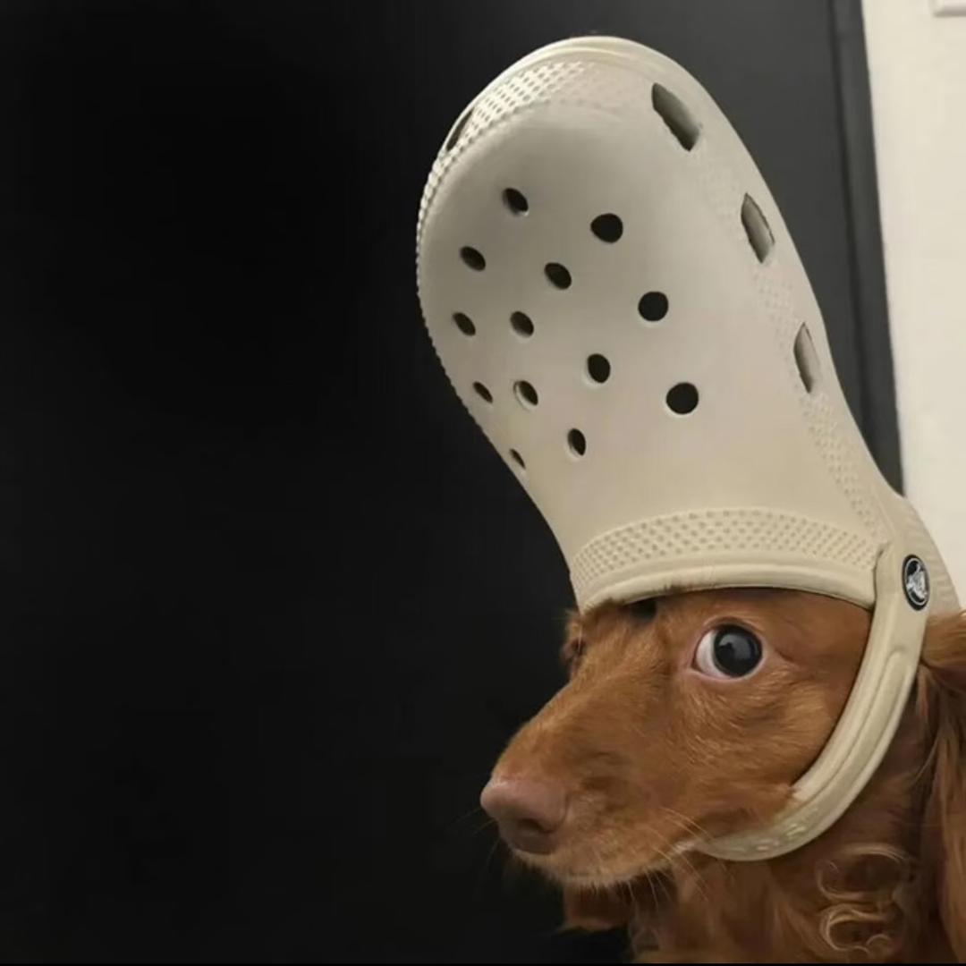 探长（单招版）