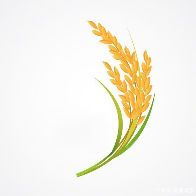 开心多多头像