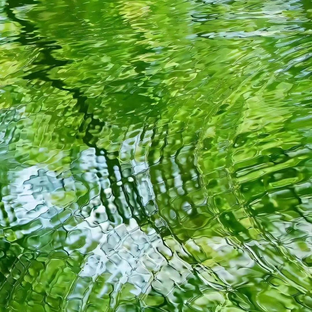 小绿和小新