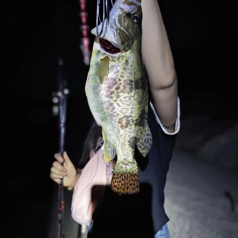 瑞豹矶钓岸筏远投海竿