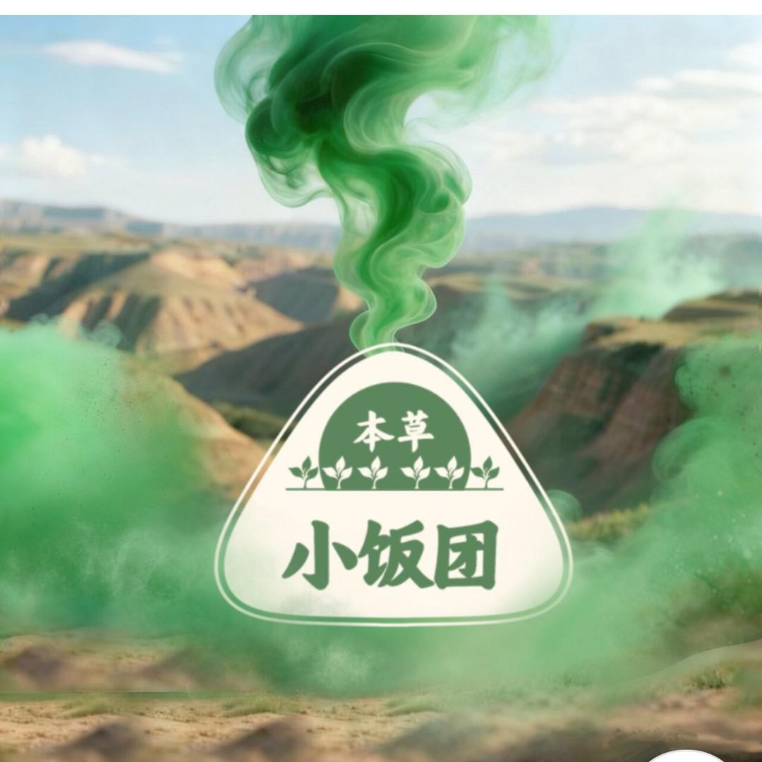 小饭团