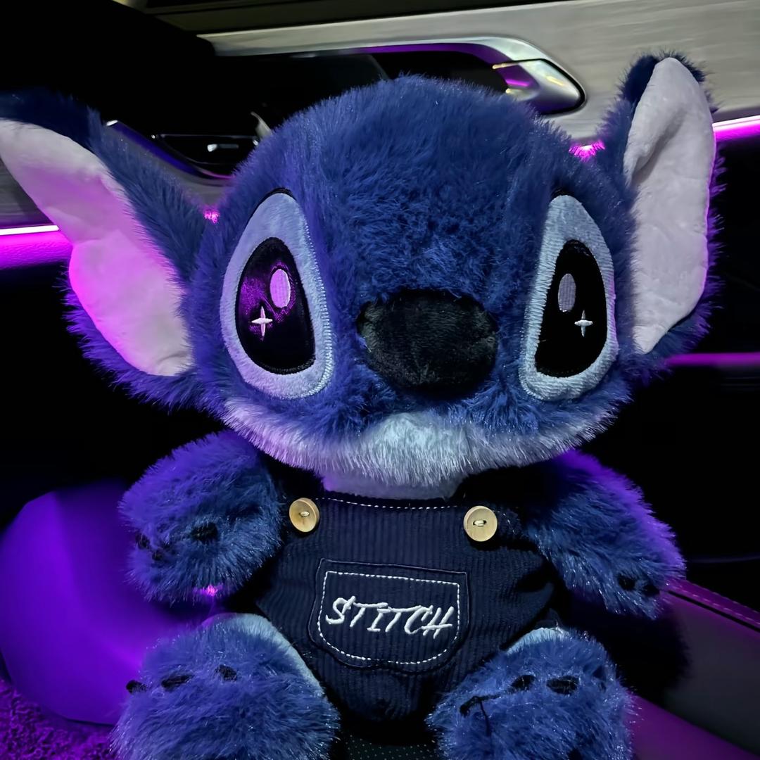 …………………