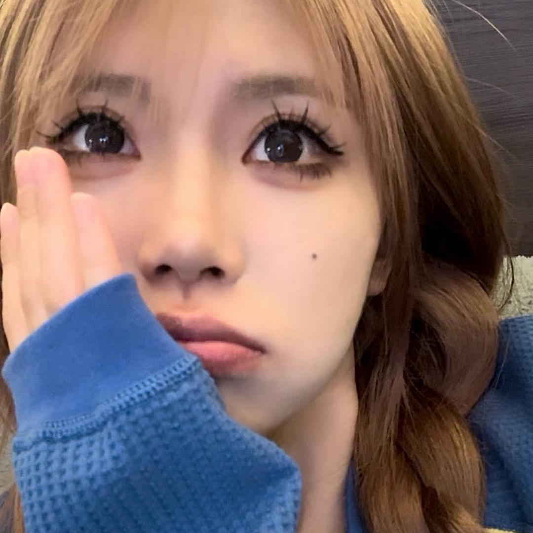 🐻一只大瑶瑶@抖音