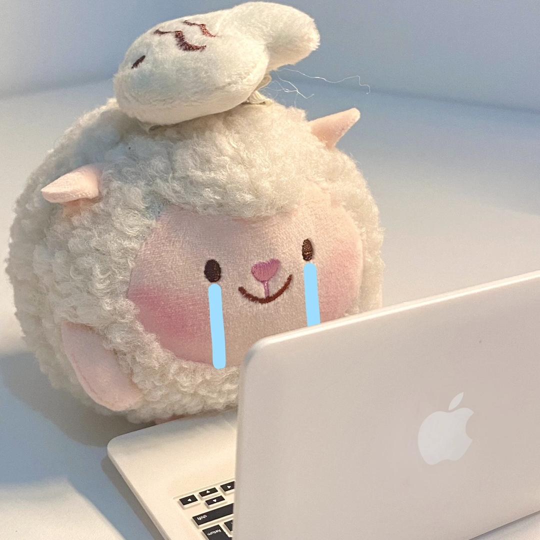 霞浦小肥杨🐑