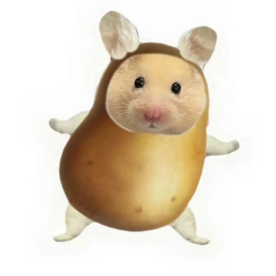 小羊