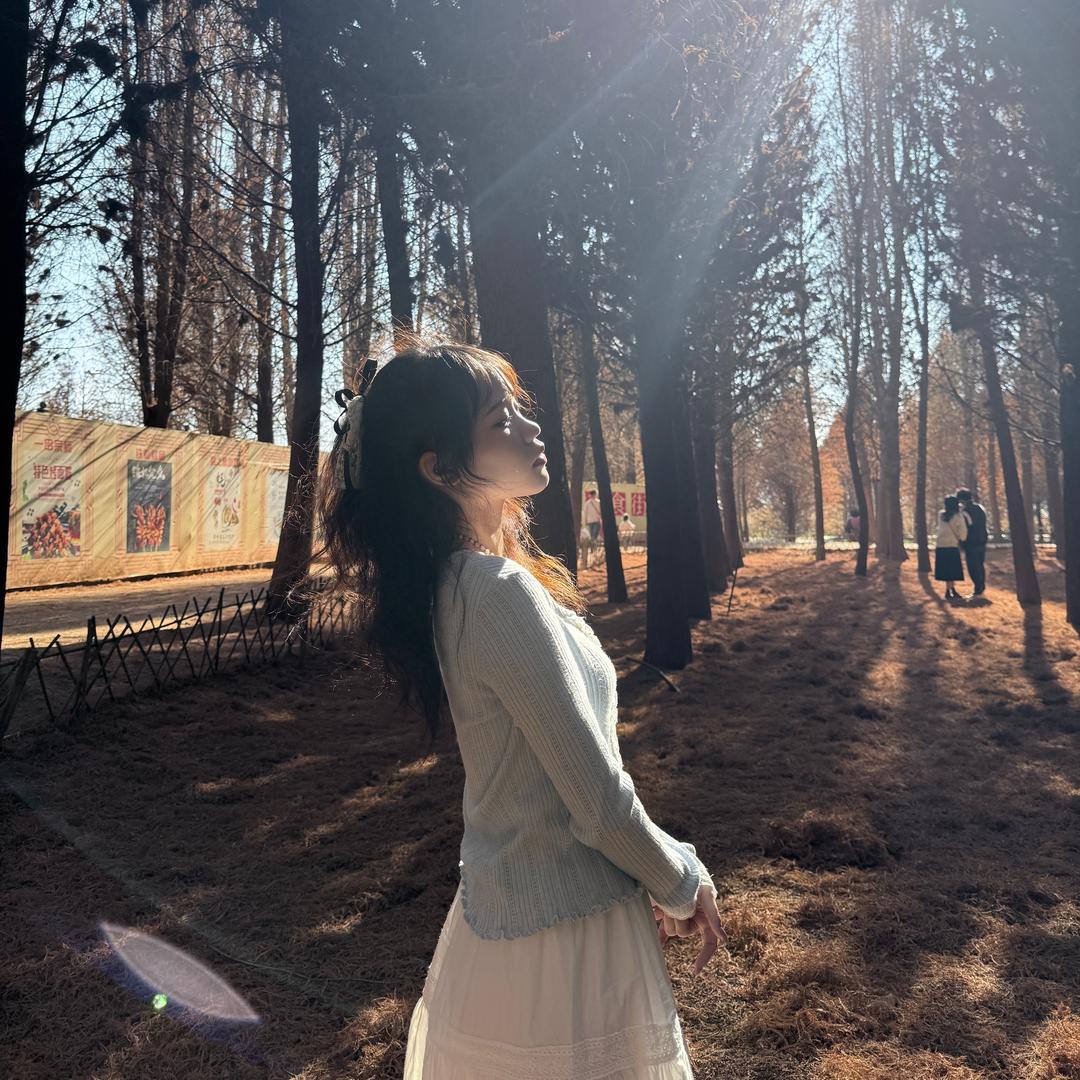 小懒zZ