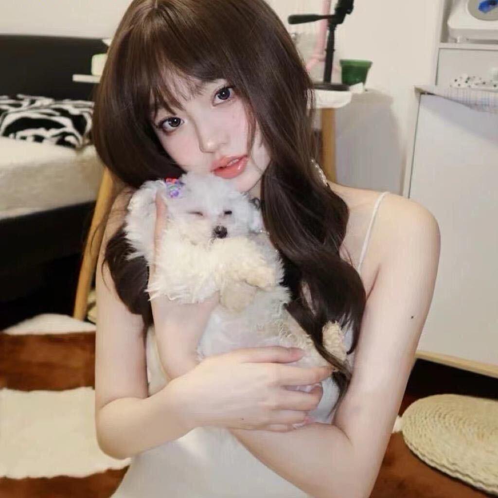 我家狗会后空翻