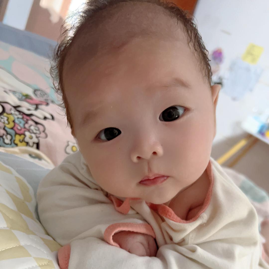 霜语—小鸭子