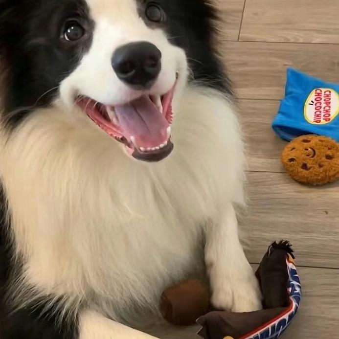 吃饱了吗  ㅤ  ㅤㅤ